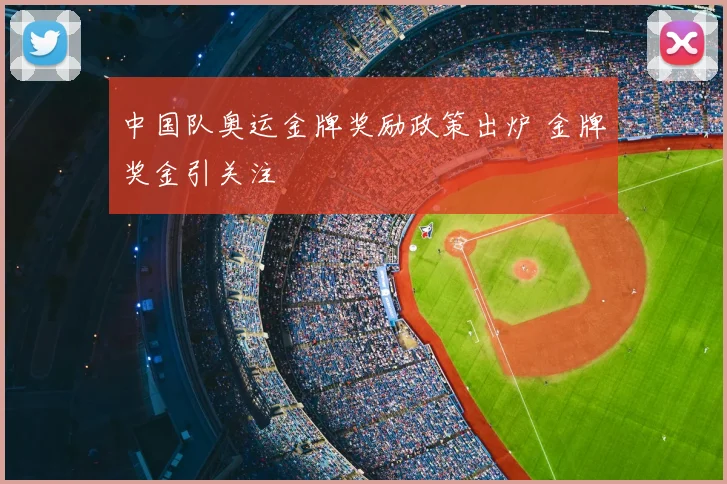 中国队奥运金牌奖励政策出炉 金牌奖金引关注
